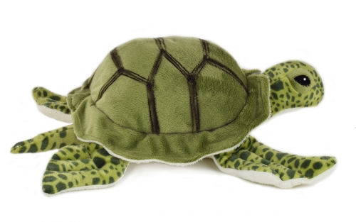 Wasserschildkröte 27 cm